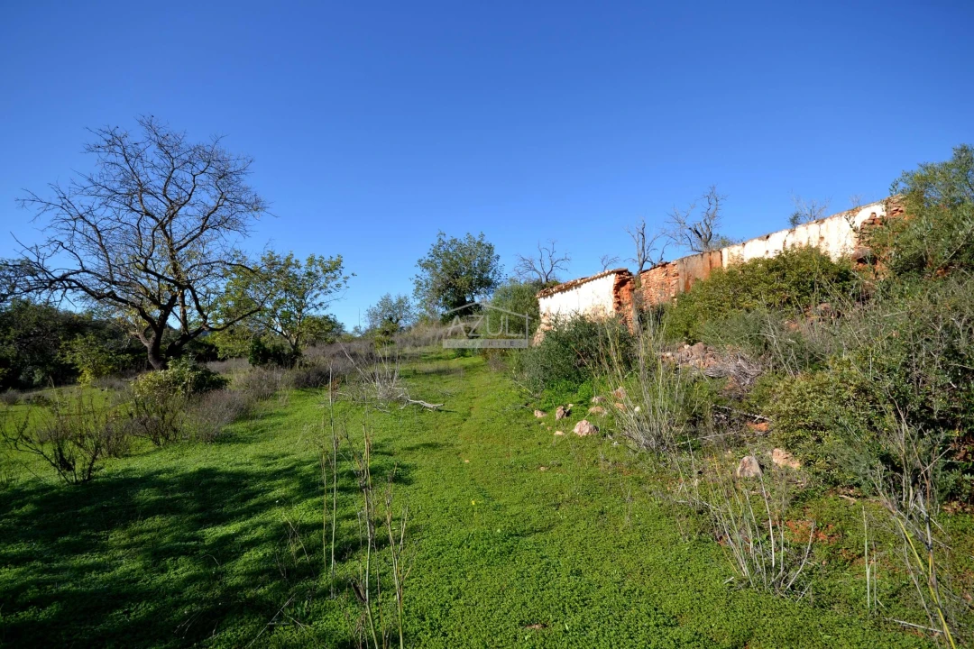 Terreno para Venda em Boliqueime Foto 14