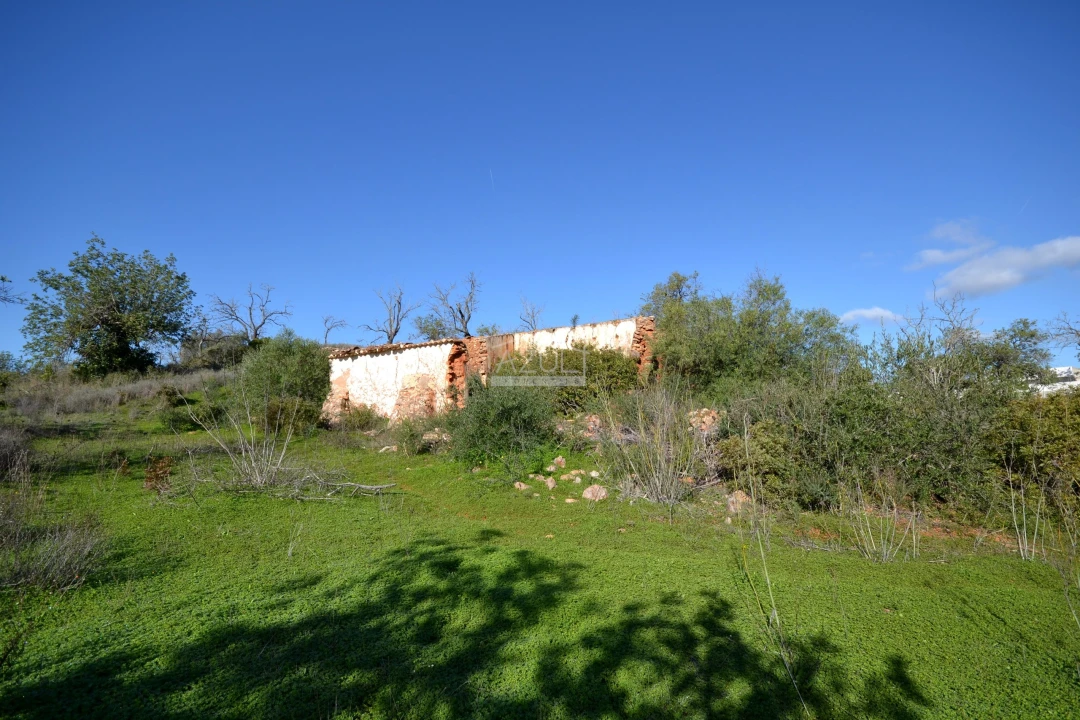 Terreno para Venda em Boliqueime Foto 3