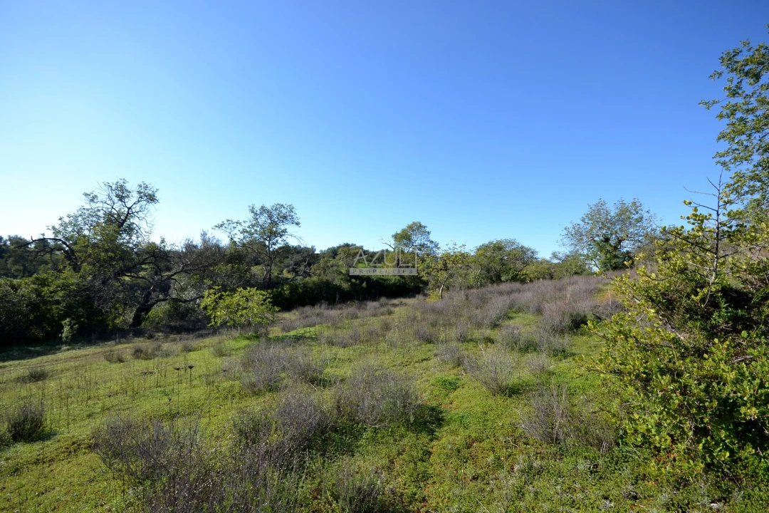 Terreno para Venda em Boliqueime Foto 17