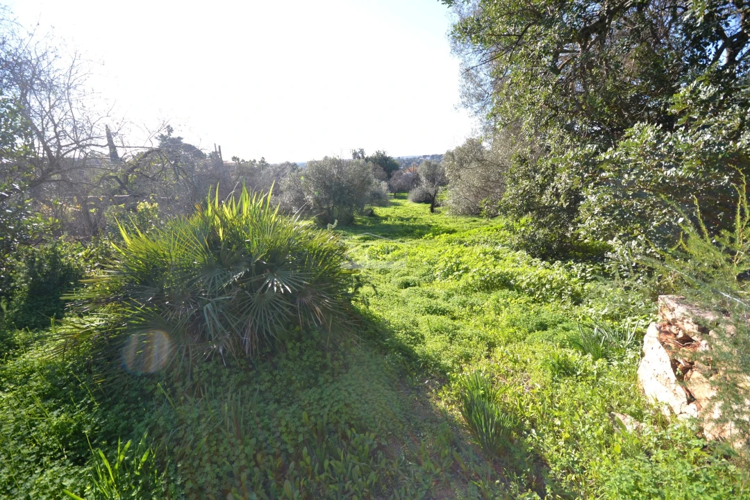 Moradia T3 para Venda em Loule (São Sebastião) Foto 14