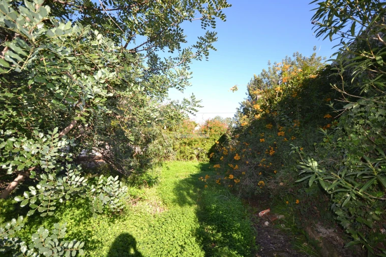 Moradia T3 para Venda em Loule (São Sebastião) Foto 19