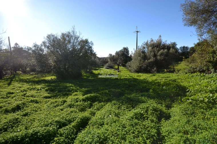 Moradia T3 para Venda em Loule (São Sebastião) Foto 15