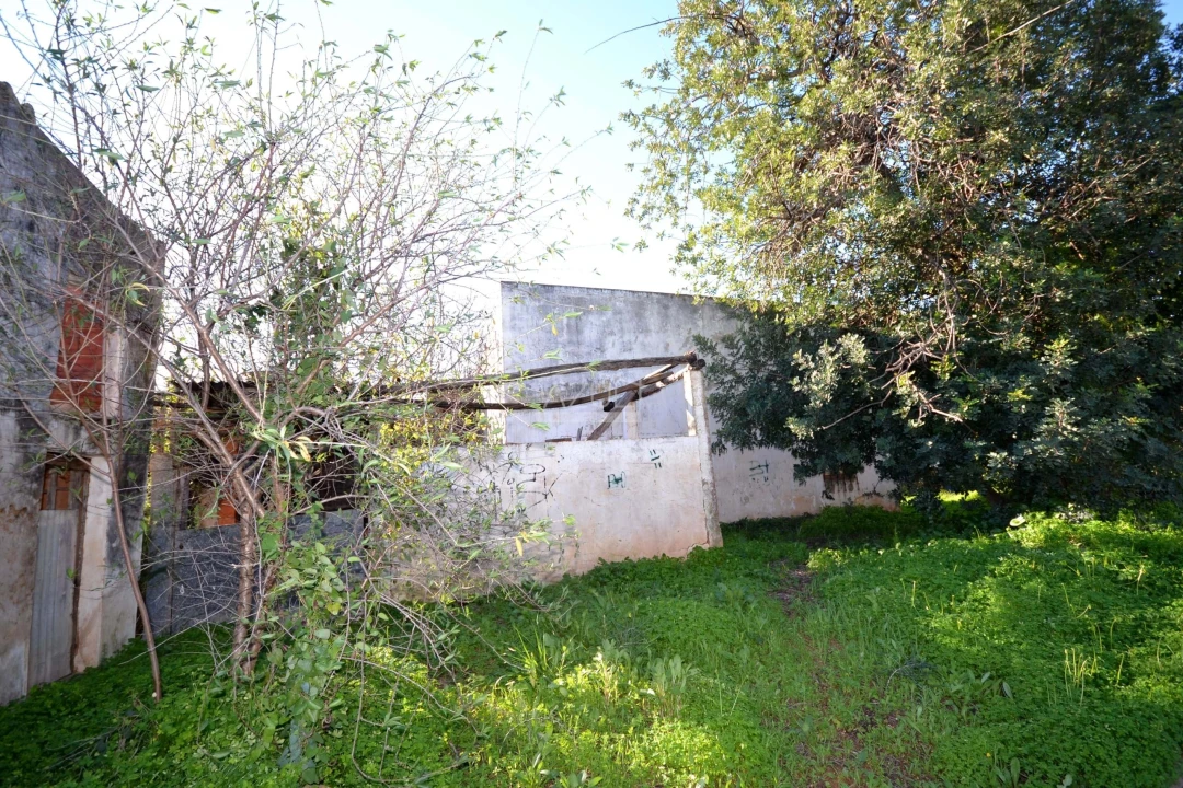 Moradia T3 para Venda em Loule (São Sebastião) Foto 5