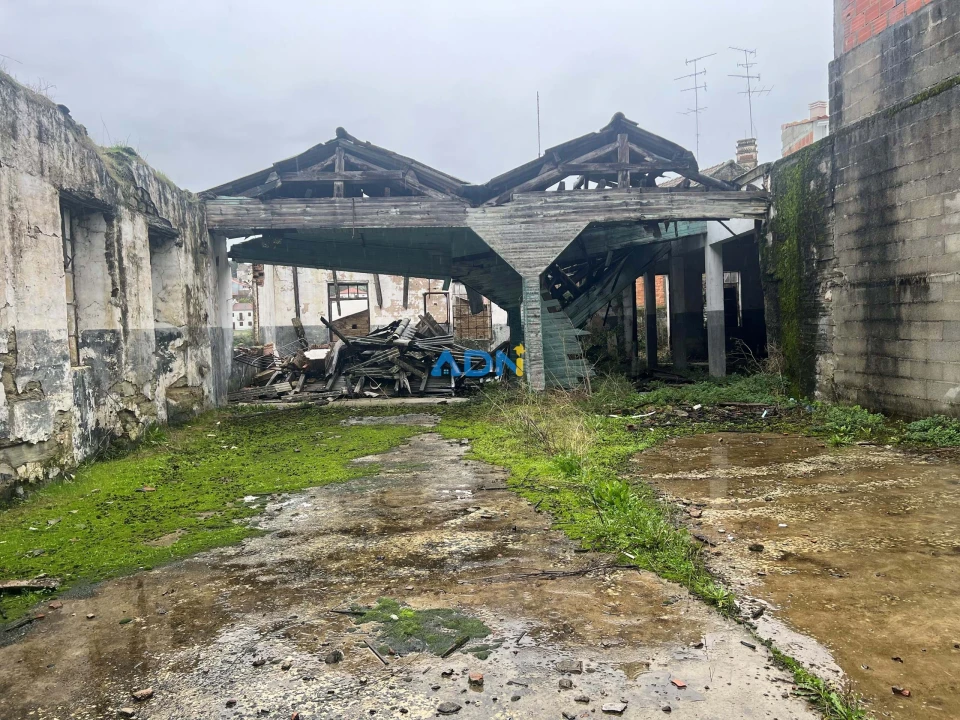 Terreno para Venda em Cebolais de Cima e Retaxo Foto 2