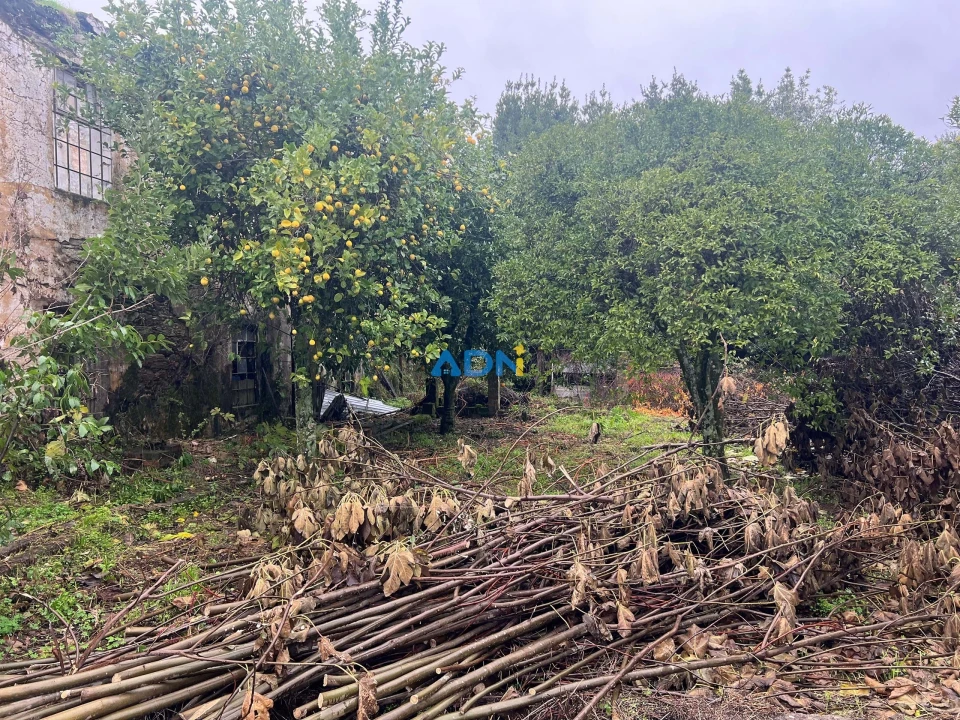 Terreno para Venda em Cebolais de Cima e Retaxo Foto 39