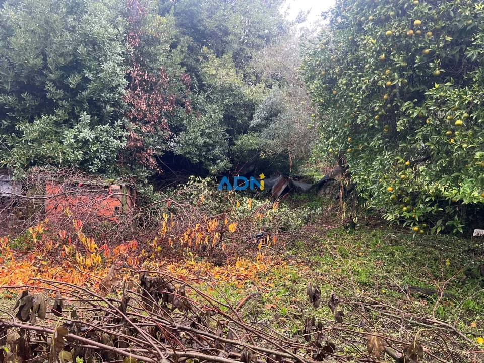 Terreno para Venda em Cebolais de Cima e Retaxo Foto 45
