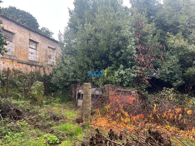Terreno para Venda em Cebolais de Cima e Retaxo Foto 46