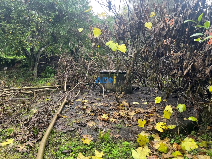 Terreno para Venda em Cebolais de Cima e Retaxo Foto 43