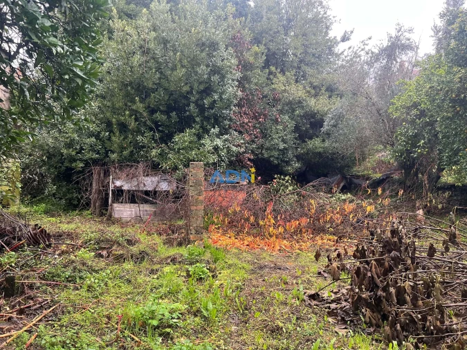 Terreno para Venda em Cebolais de Cima e Retaxo Foto 42