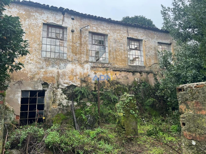 Terreno para Venda em Cebolais de Cima e Retaxo Foto 3