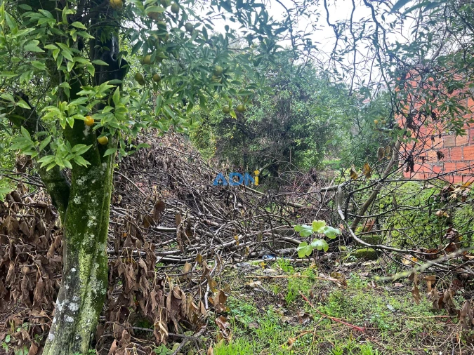 Terreno para Venda em Cebolais de Cima e Retaxo Foto 40