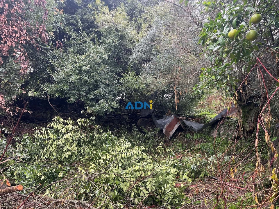 Terreno para Venda em Cebolais de Cima e Retaxo Foto 48