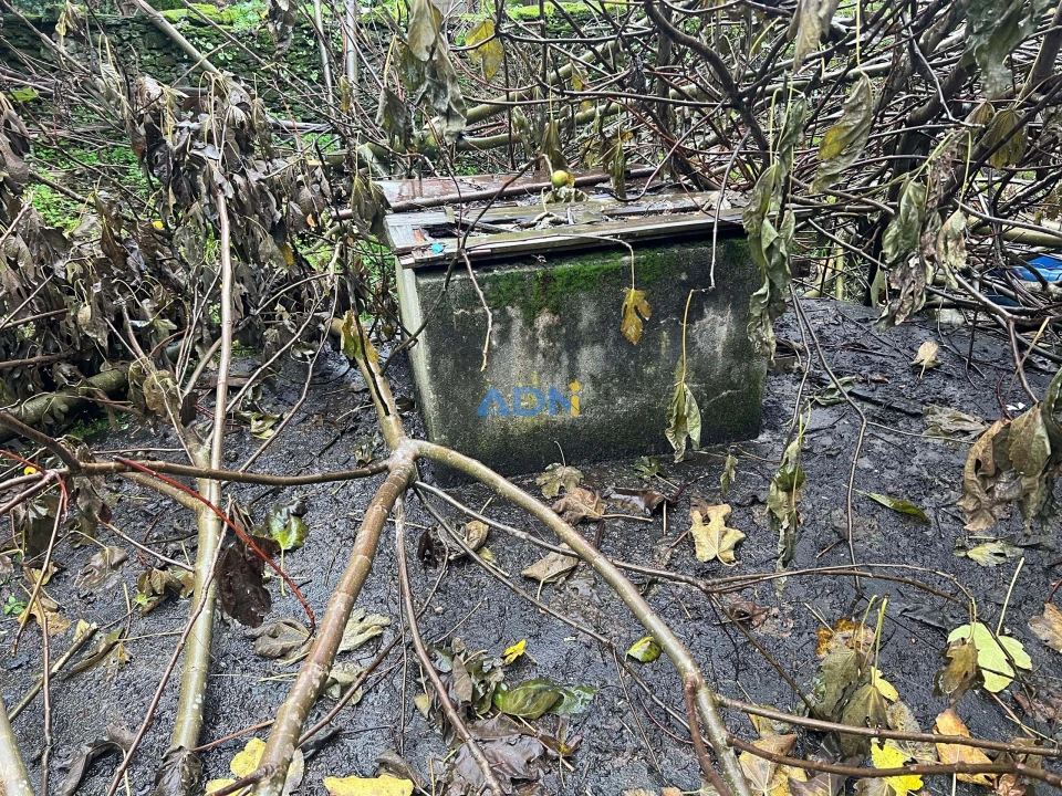 Terreno para Venda em Cebolais de Cima e Retaxo Foto 44