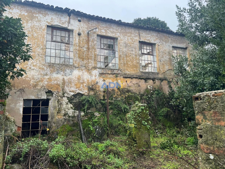 Terreno para Venda em Cebolais de Cima e Retaxo Foto 3