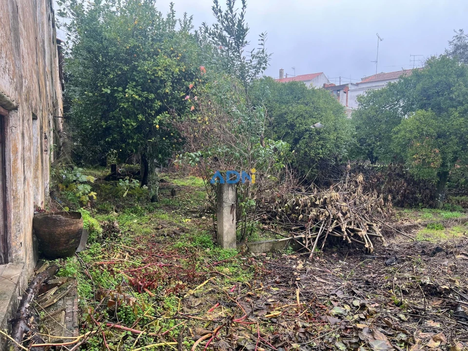 Terreno para Venda em Cebolais de Cima e Retaxo Foto 36
