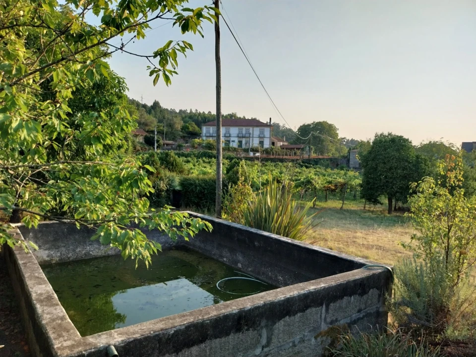 Quinta T3 para Venda em Messegães, Valadares e Sá Foto 9