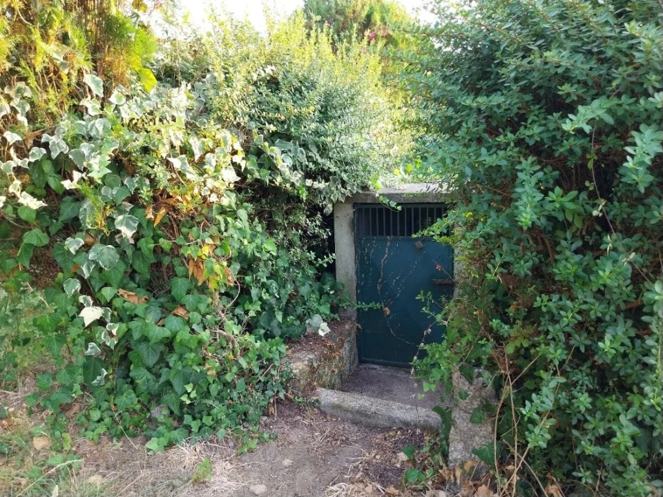 Quinta T3 para Venda em Messegães, Valadares e Sá Foto 6