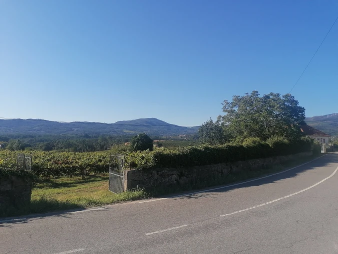 Quinta T3 para Venda em Messegães, Valadares e Sá