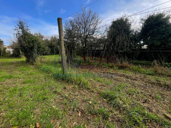 Terreno para Venda em Rates Foto 6