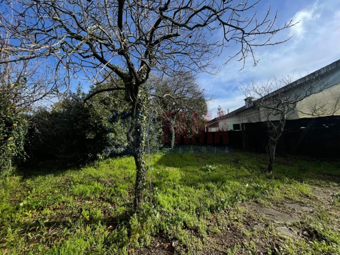 Terreno para Venda em Rates Foto 7