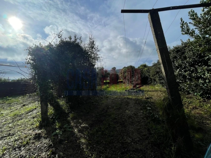 Terreno para Venda em Rates Foto 11