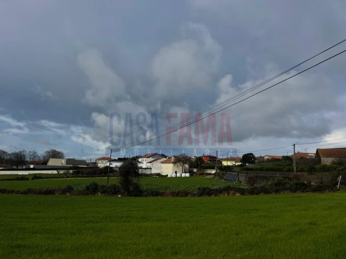 Terreno para Venda em Rates Foto 15