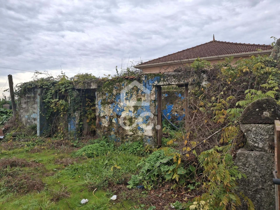 Terreno para Venda em Cristelos, Boim e Ordem Foto 8
