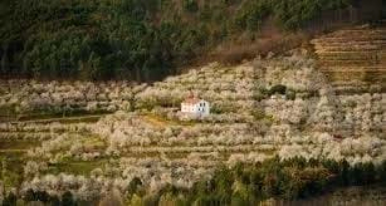 Negócio para Venda em Fundão, Valverde, Donas, A. Joanes, A. Nova Cabo Foto 15
