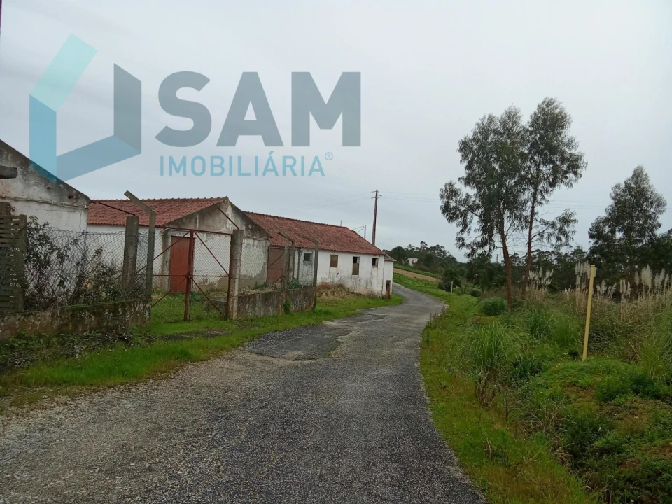 Terreno Misto para Venda em Campelos e Outeiro da Cabeça Foto 4