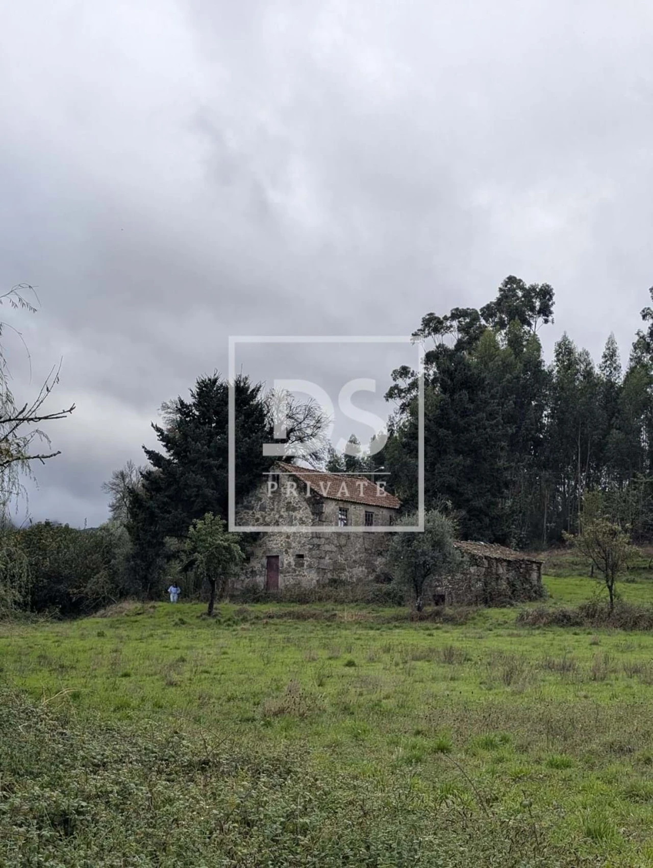 Quinta para Venda em Moimenta da Serra e Vinhó Foto 2