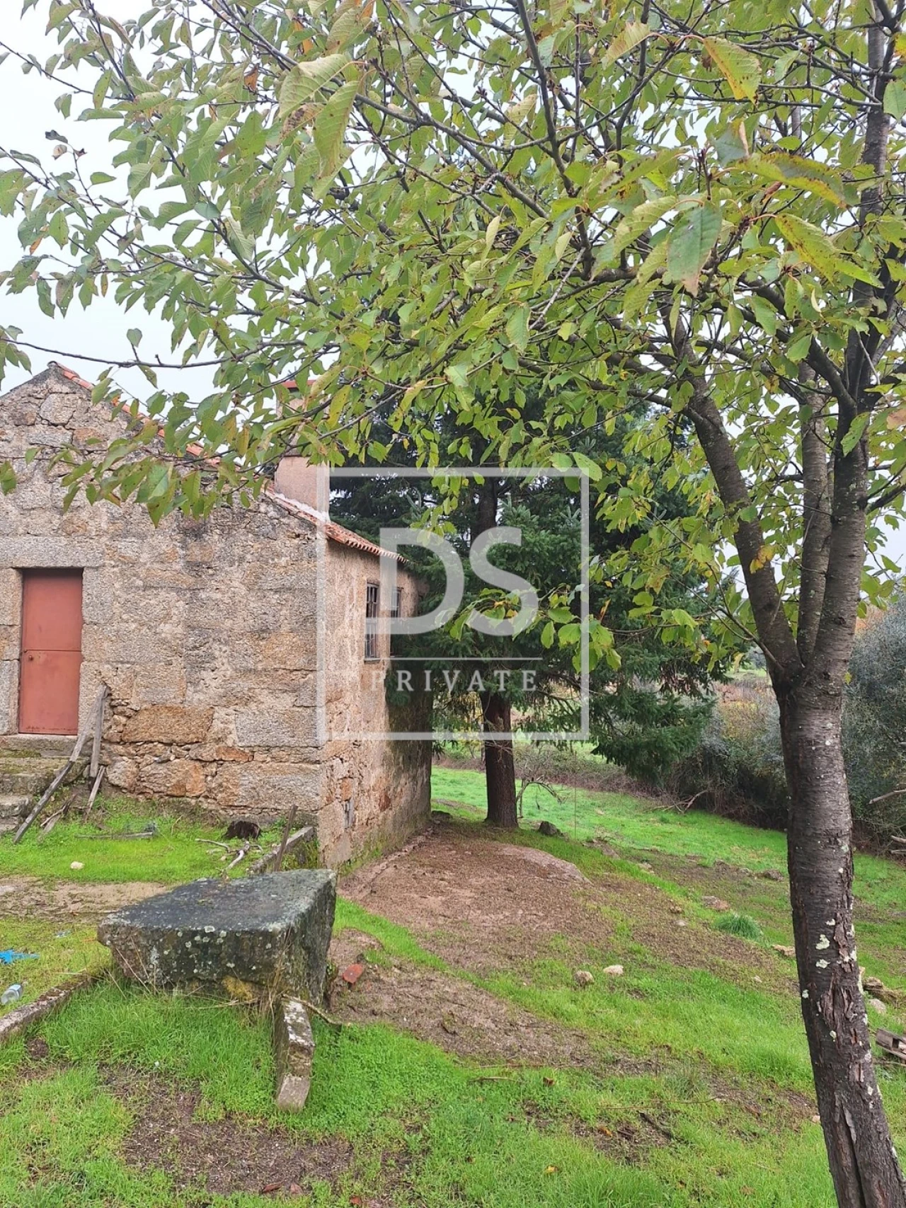 Quinta para Venda em Moimenta da Serra e Vinhó Foto 16