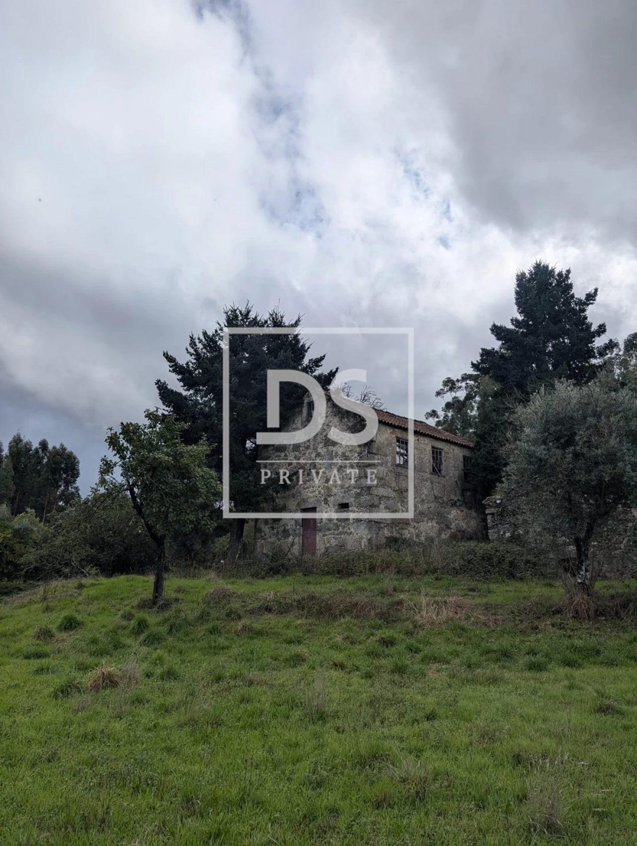 Quinta para Venda em Moimenta da Serra e Vinhó Foto 8