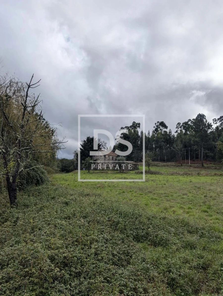 Quinta para Venda em Moimenta da Serra e Vinhó Foto 3