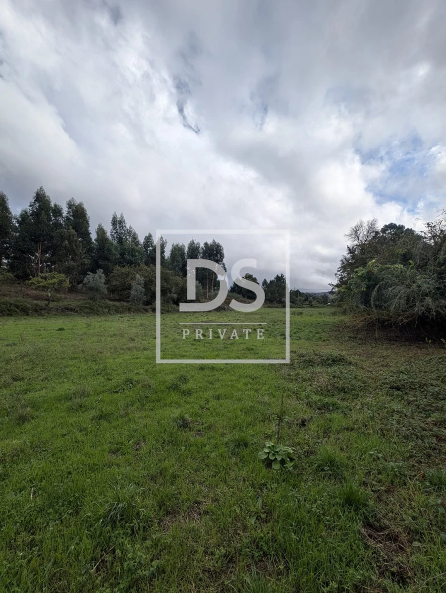 Quinta para Venda em Moimenta da Serra e Vinhó Foto 5