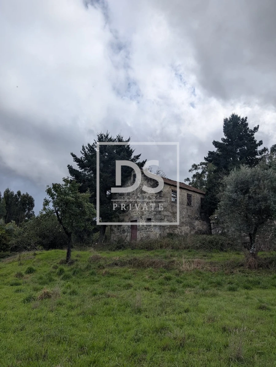 Quinta para Venda em Moimenta da Serra e Vinhó Foto 8