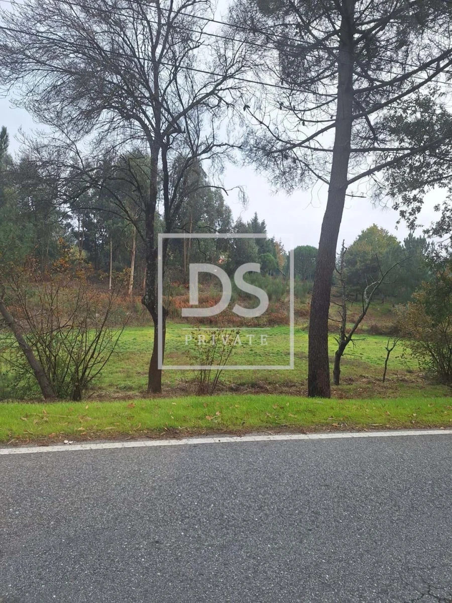 Quinta para Venda em Moimenta da Serra e Vinhó Foto 15