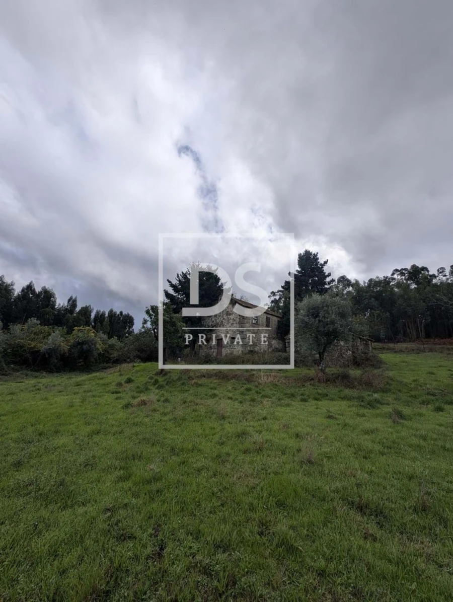 Quinta para Venda em Moimenta da Serra e Vinhó Foto 7