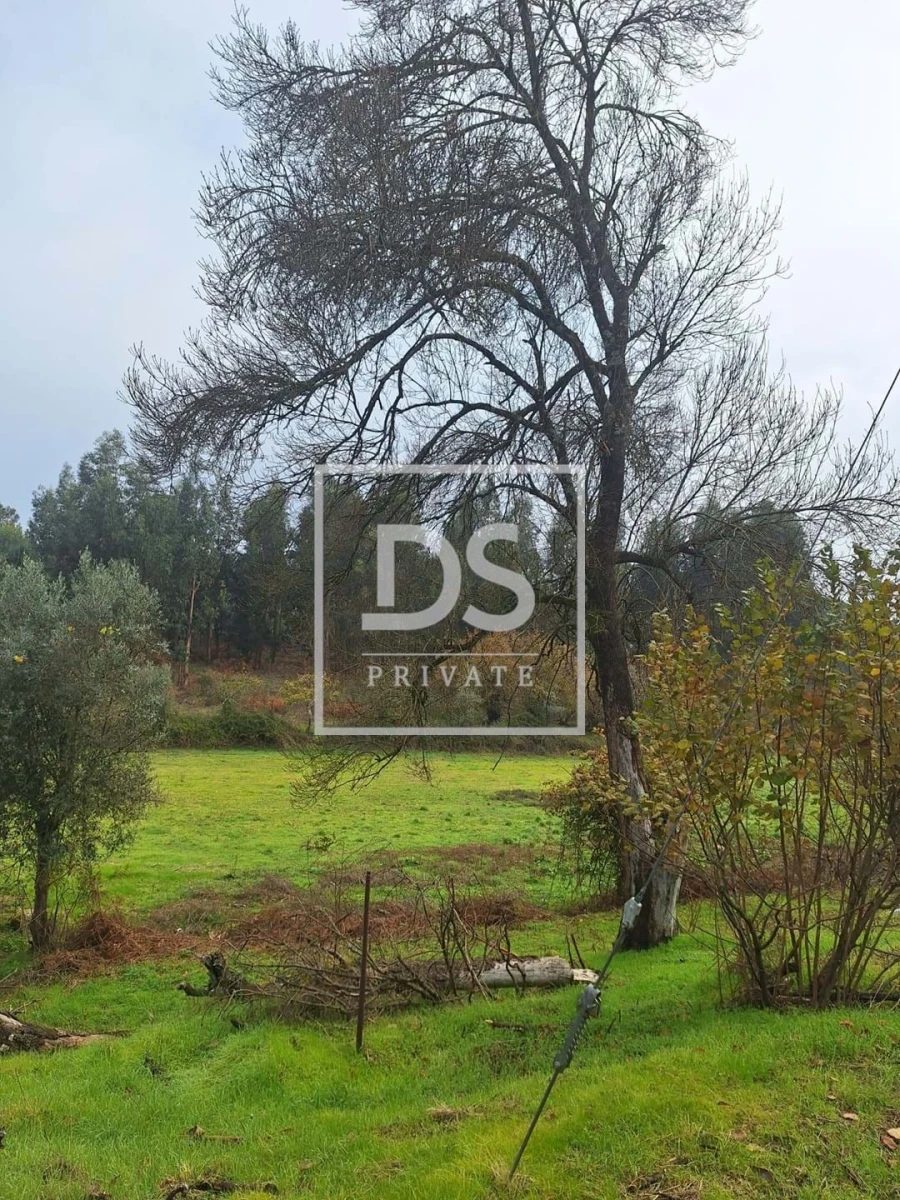 Quinta para Venda em Moimenta da Serra e Vinhó Foto 18