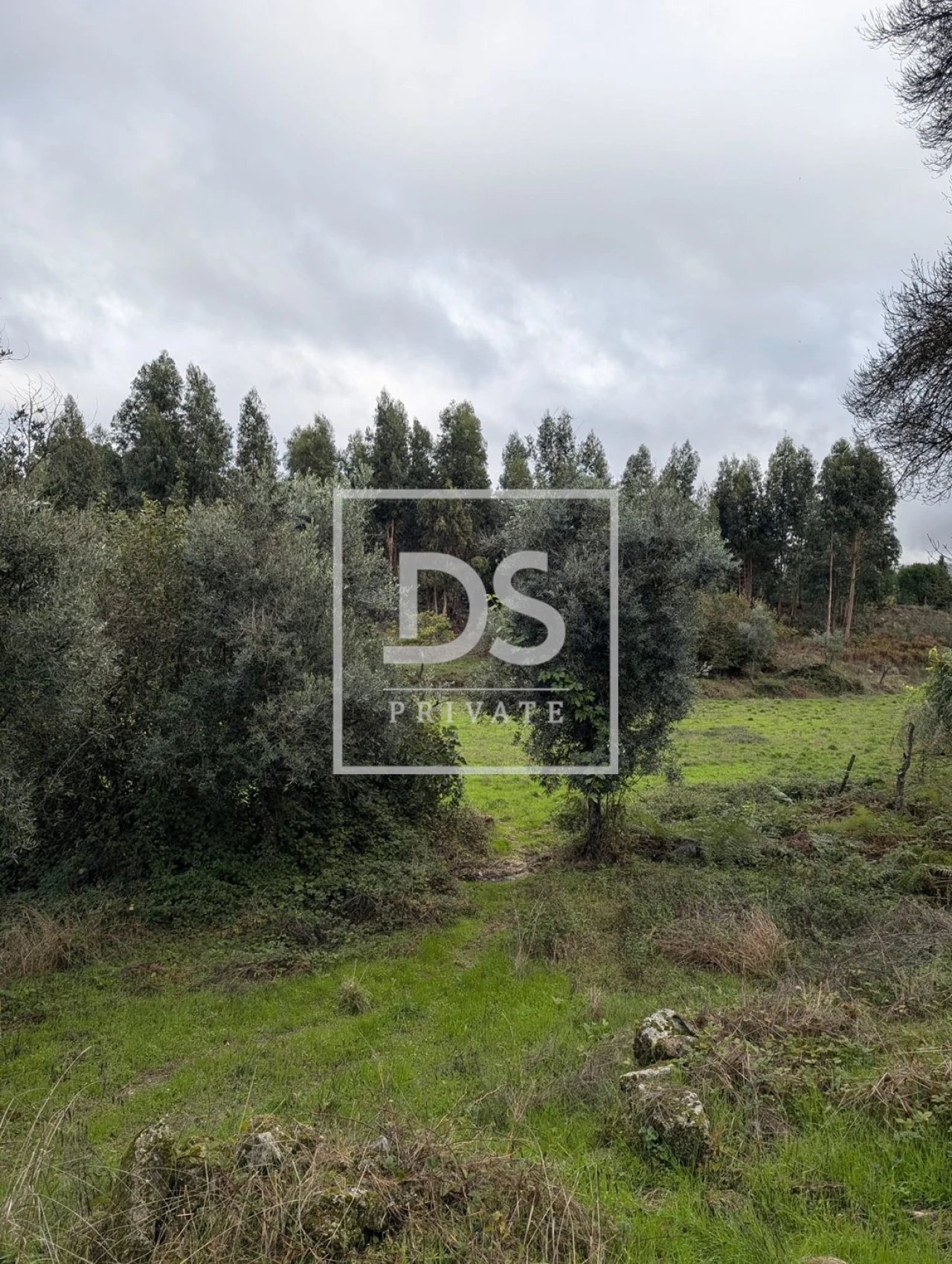 Quinta para Venda em Moimenta da Serra e Vinhó Foto 11