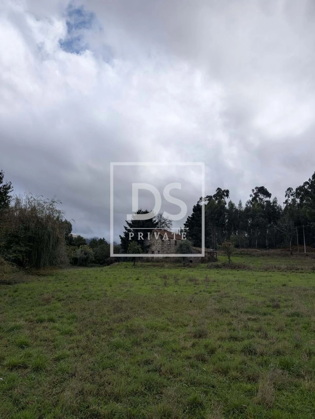 Quinta para Venda em Moimenta da Serra e Vinhó Foto 6