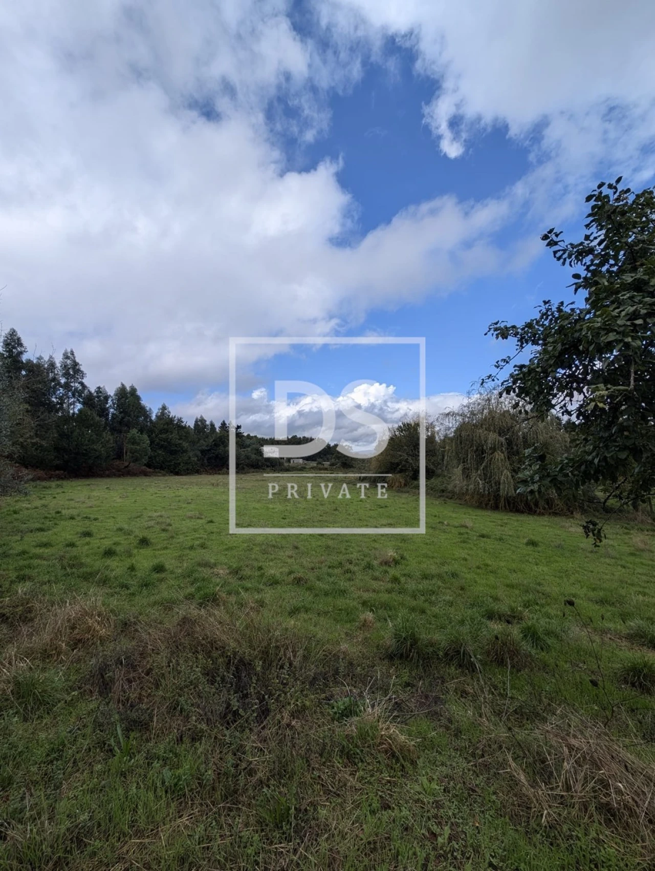 Quinta para Venda em Moimenta da Serra e Vinhó Foto 10