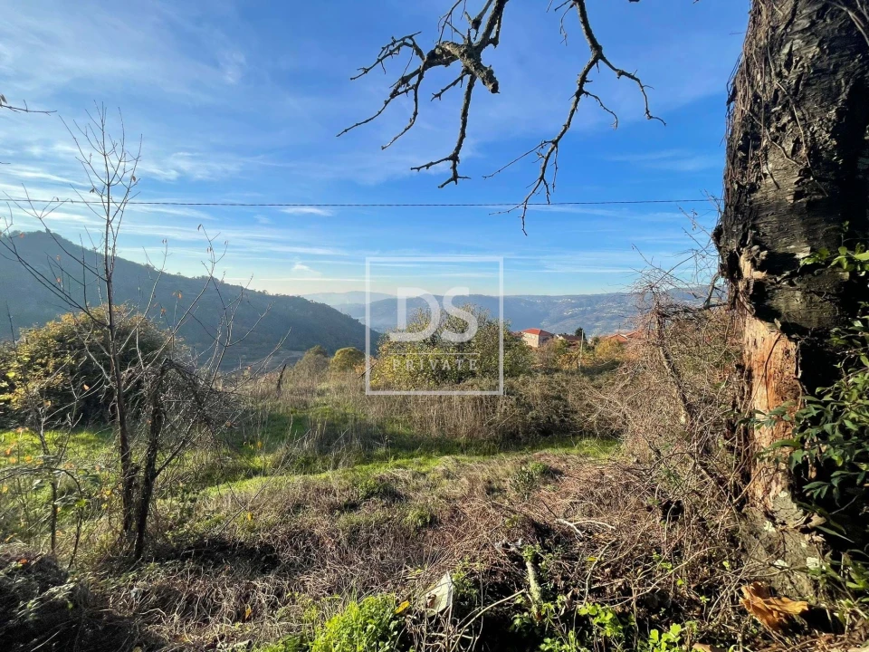 Quinta para Venda em Anreade e São Romão de Aregos Foto 14