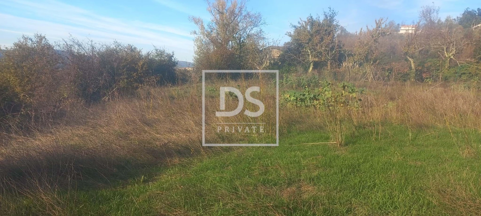 Quinta para Venda em Anreade e São Romão de Aregos Foto 9