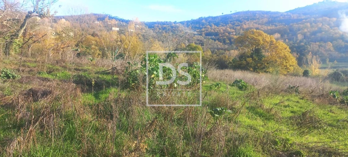 Quinta para Venda em Anreade e São Romão de Aregos Foto 12