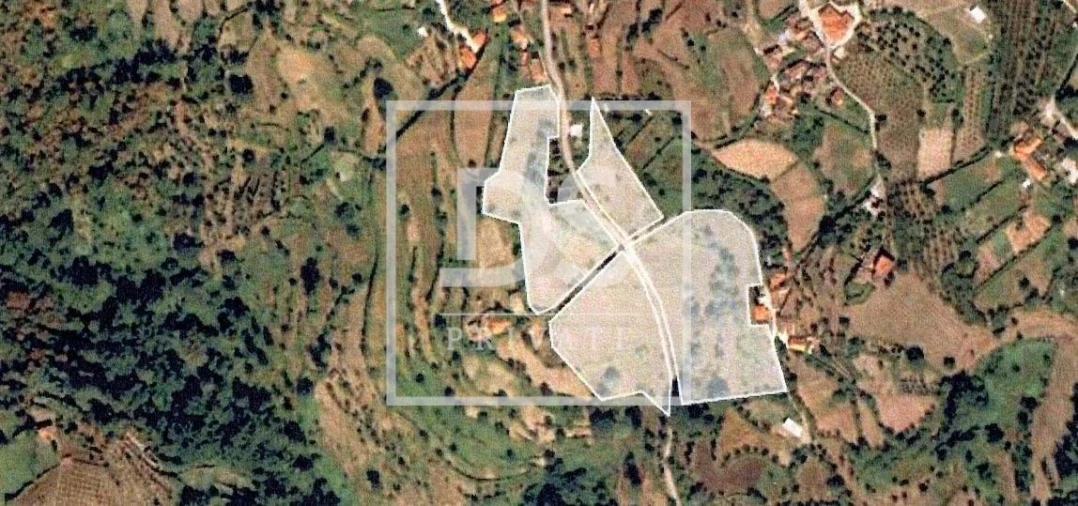 Quinta para Venda em Anreade e São Romão de Aregos Foto 17