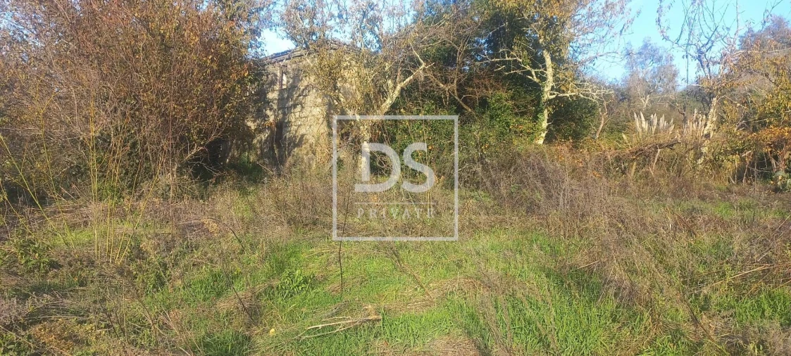 Quinta para Venda em Anreade e São Romão de Aregos Foto 10