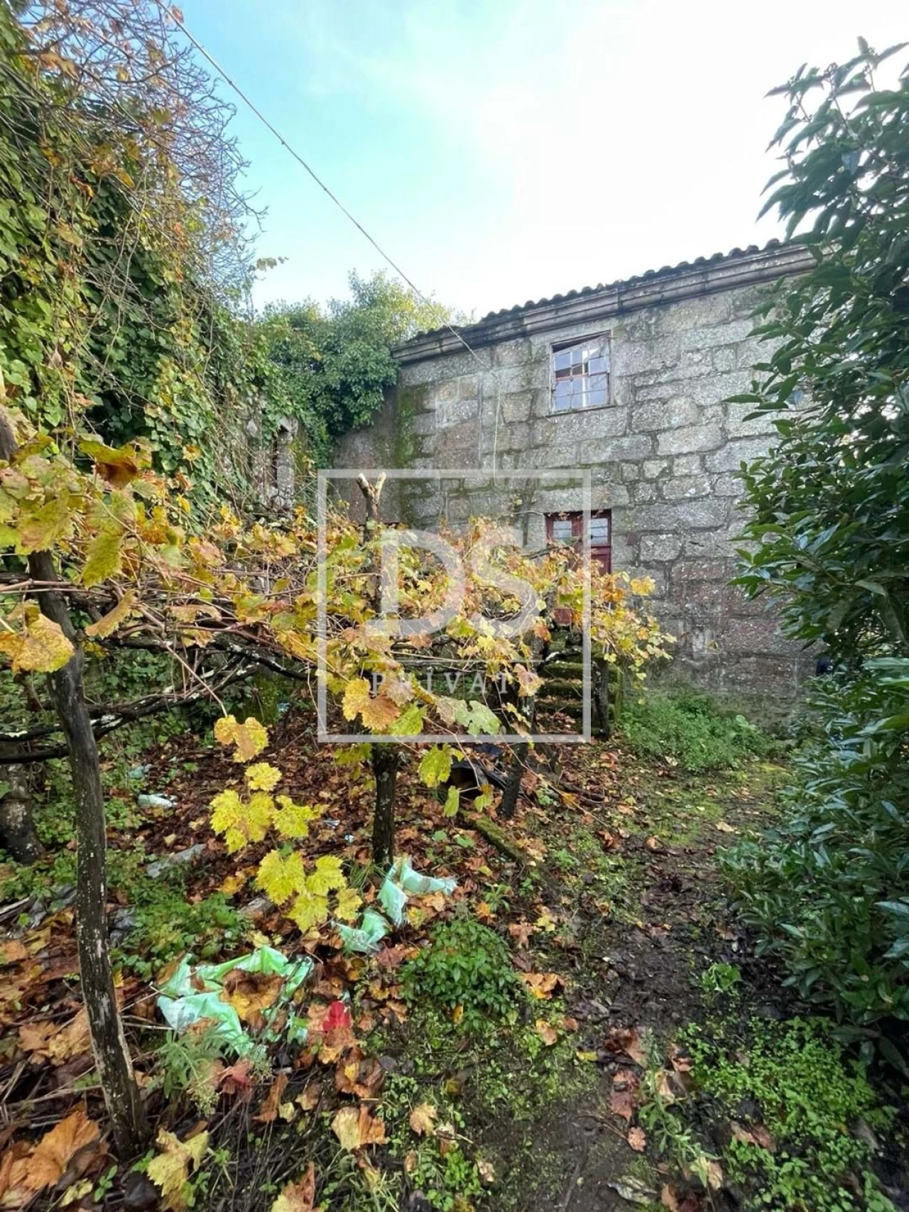Quinta para Venda em Anreade e São Romão de Aregos Foto 4