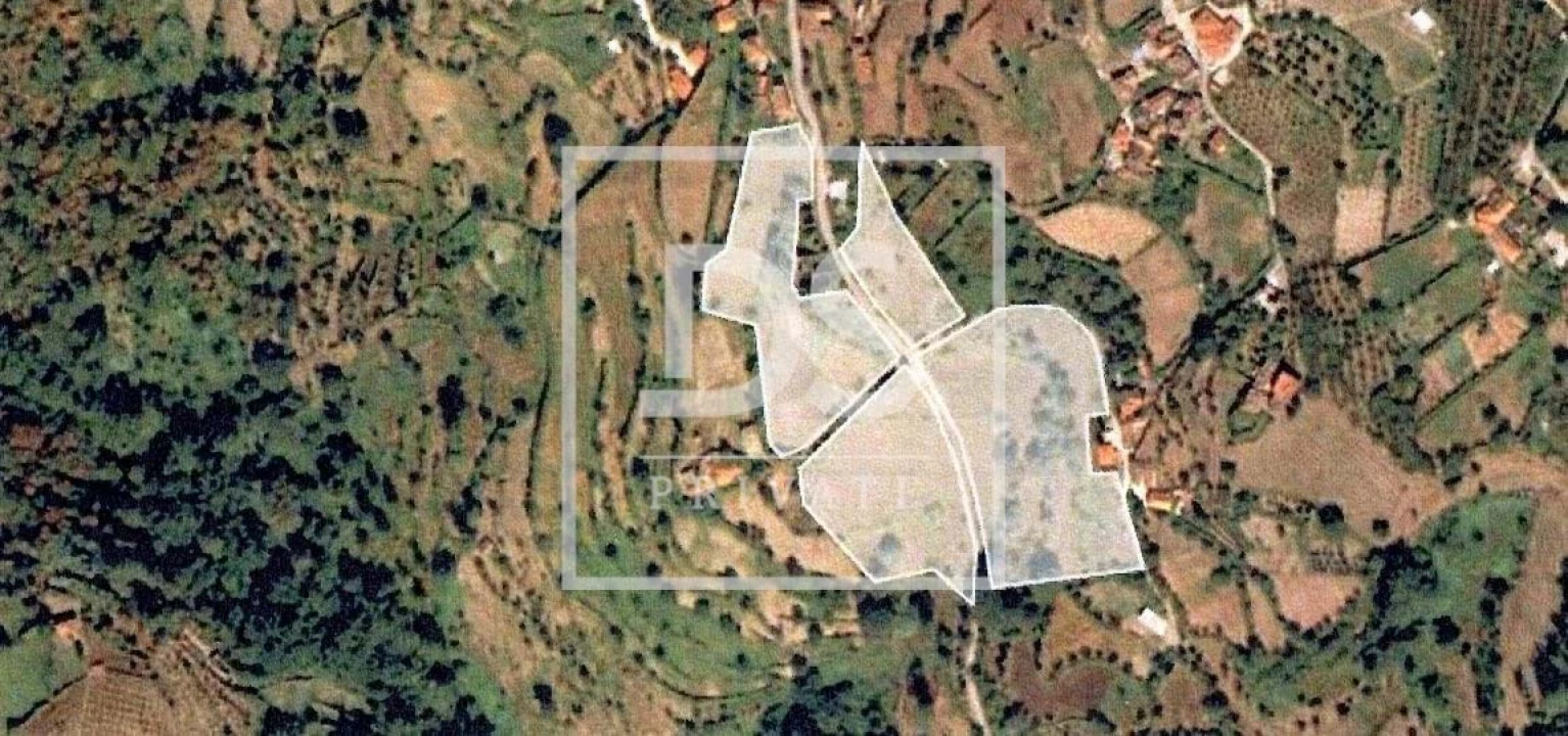 Quinta para Venda em Anreade e São Romão de Aregos Foto 17