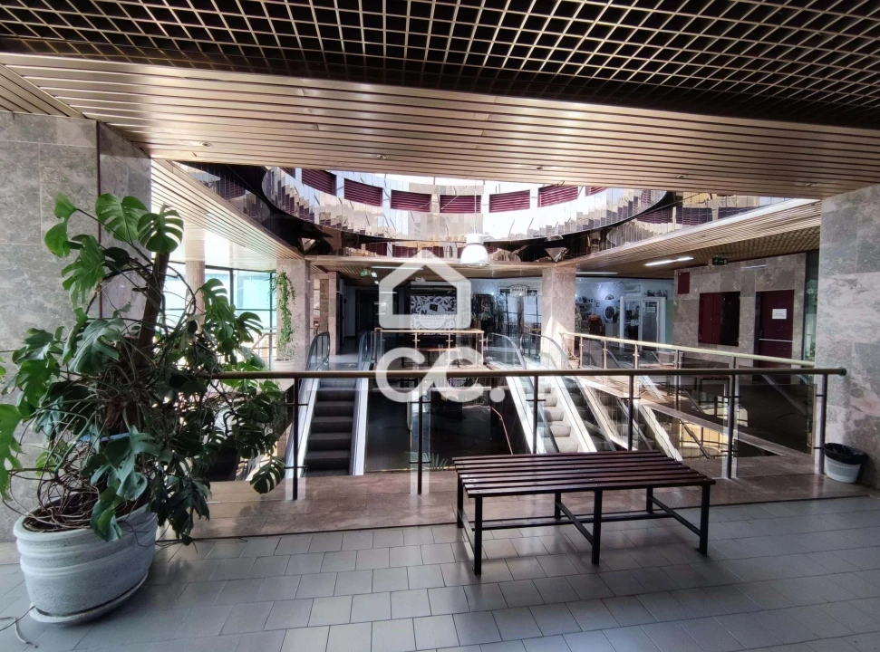 Negócio para Venda em Santa Maria Maior Foto 8