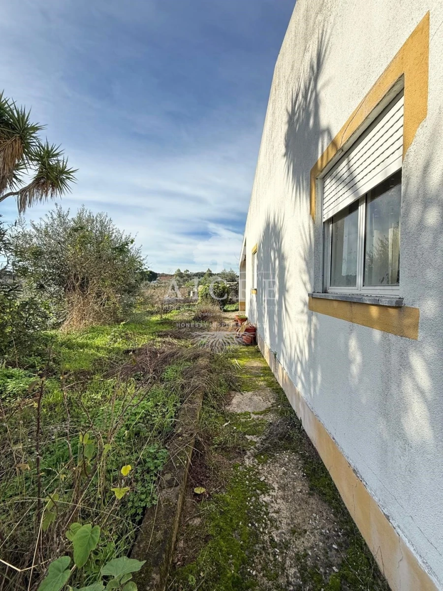 Quinta T4 para Venda em São Bento do Mato Foto 9